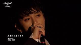 [LIVE中字] Beast - Butterfly in 2016 Beautiful Show