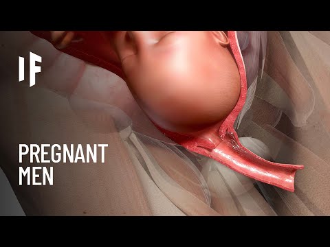 What If Men Could Get Pregnant? - YouTube