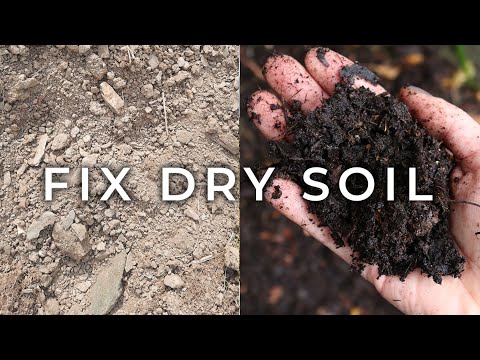 How to Fix Dry Soil to Make it Healthy and Productive