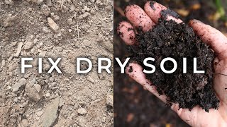 How to Fix Dry Soil to Make it Healthy and Productive