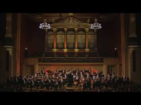 Náhled pro video reference