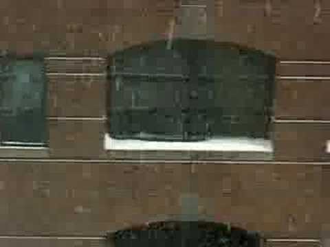 The View Outside My Window