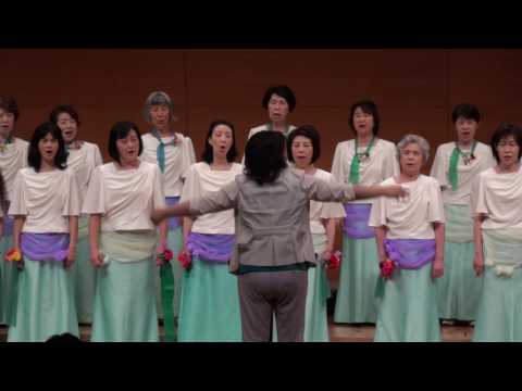 RECORDATA (レコルダータ) コーロ ステラ