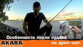 Как ловить на дроп шот ельца с берега