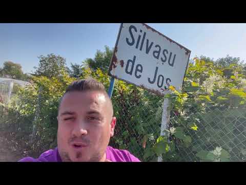 Am ajuns in Silvasu de Jos din Județul Hunedoara