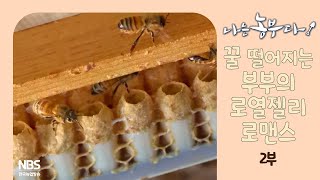 [나는농부다 268회 2부] 꿀 떨어지는 부부의 로열젤리 로맨스