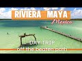 3 Must See Natural Spots In Tulum Kaan Luum Cenote Caracol Yal Ku