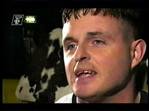 Rikki and Daz on Popworld