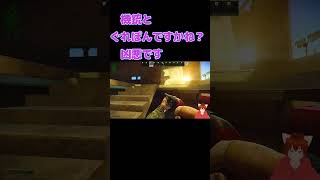 機銃に対抗できるのはＫＳだけ【EFT】【タルコフ】【Escape from Tarkov】