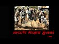 Malaiyur Siramathana Iyakkam 1998 மலையூர் சிரமதான இயக்கம்