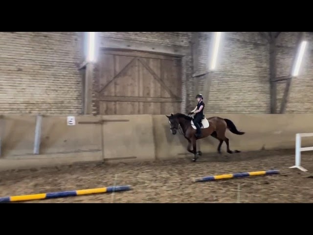 Under the saddle