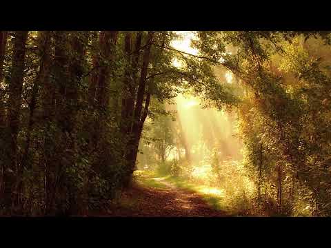 Puiu Chibici si Dorin Cazacu - O, ascultati!