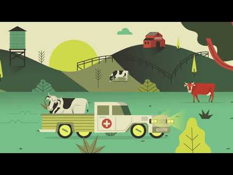 Fotograma del vídeo: MESRASA. Grupo Operativo para la Mejora de los Sistemas de Recogida y Alerta Sanitaria Animal.