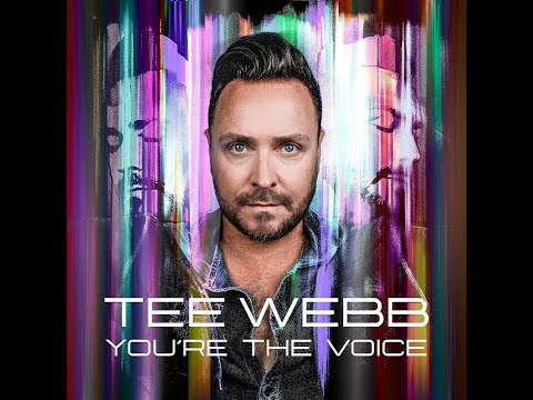 Tee Webb - You're the Voice (Sakgra Extended Remix)