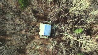 Fieldstone Hunting Lodge Edit