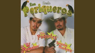 El Sauce y la Palma Music Video