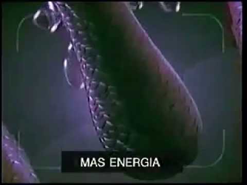 Sedal Linea Pró Shampoo Energizante 30s - Chile, 1994