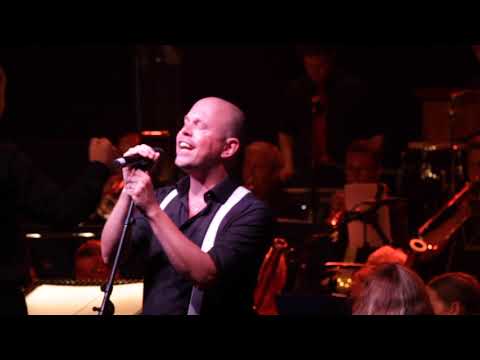 DSWO - Halliday Hits