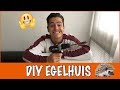 Help egels de winter overleven: hoe maak je een egelhuisje?! | DierenpraatTV
