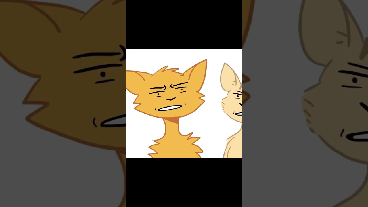 Warrior cats memes I found pt 1