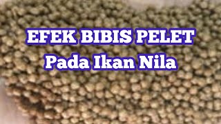 Download lagu Manfaat Bibis Pelet Pada Ikan Nila mp3