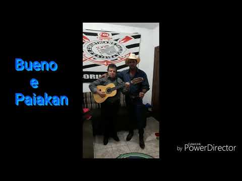 Bueno e Paiakan de Arapongas PR