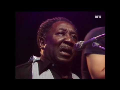 MUDDY WATERS BLUESBAND 1977