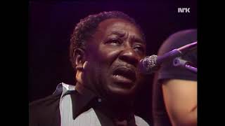 Download lagu MUDDY WATERS BLUESBAND 1977 mp3