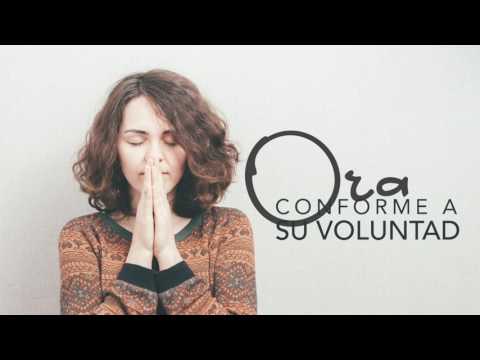 Conforme a Su voluntad | Devocional de oración 2017
