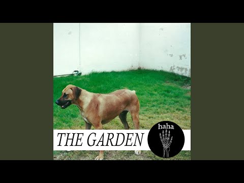 All Smiles Over Here :)