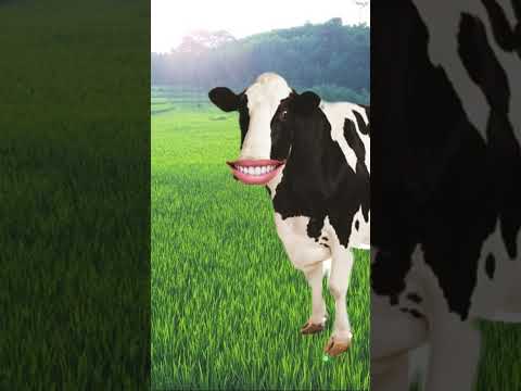 Con cò bay lả bay La #Playtogether #shortsvideo #trending #xuhuongyoutube #games #funny #foryou