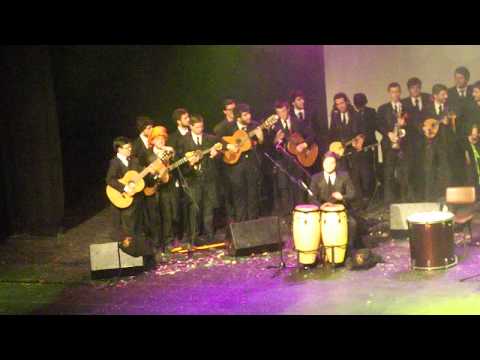 Looney Tuna - Piel Canela - XXVI FITA