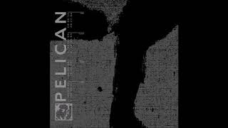 Pelican - The Woods
