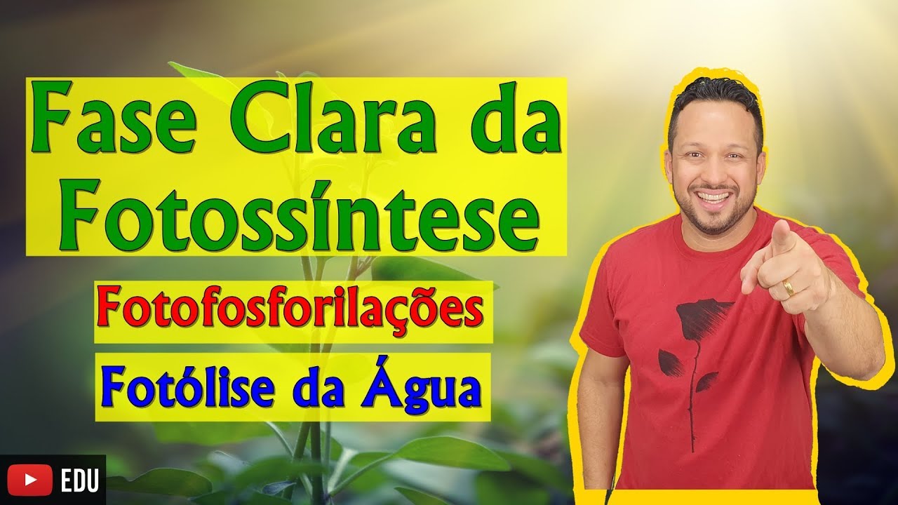 Fase Clara ou Fase Fotoquímica da Fotossíntese - Fotofosforilações e Fotólise da Água