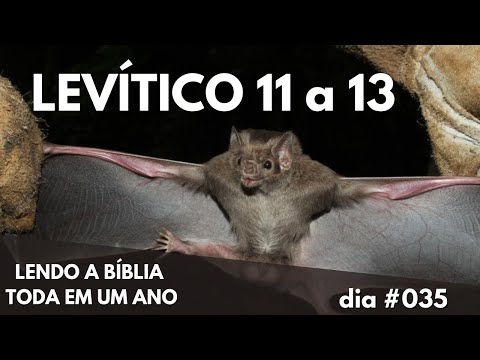 LEVÍTICO 11 a 13 - A Bíblia toda em um ano - Dia #035