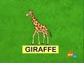 Animal Alphabet Song