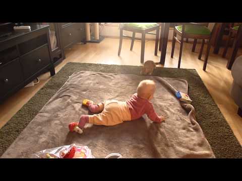 Romy und Tony und die Silberkugel