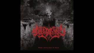 Apokathilosis - Where Angels Fear to Tread (Full Album)