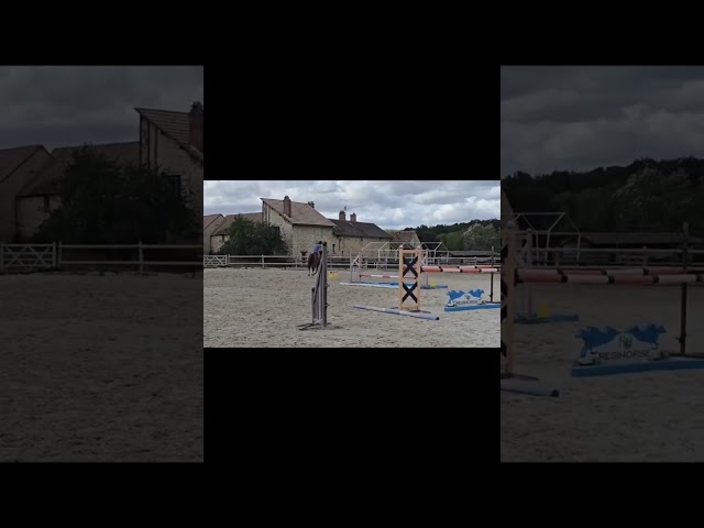Jument tr&egrave;s concours 