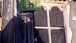 Download lagu Klik' tarung ngetir mp3