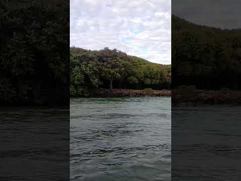 llegada al Puerto San Antonio // Las Islas Apipé: Un paraíso natural en conflicto