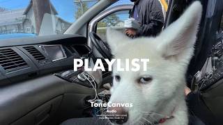 taking the long way home 🚙 💨