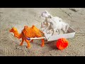 Diy How To Make Awesome Camel Cart Camelcart Ghodagadi Bailgadi