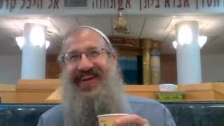 קורות חייו ותורותיו של הרב שלמה מקרלין