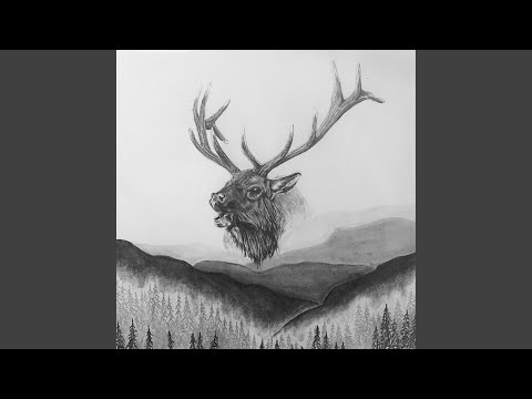 The Next Ridge - Tanner Laws