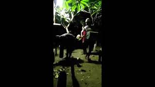 Download lagu [ Lucu abis. dijamin NGAKAK ] Bangunin sahur di kuburan mp3