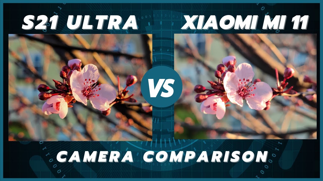 Samsung Galaxy S21 Ultra vs Xiaomi Mi 11 Camera Comparison | 108MP Battle!