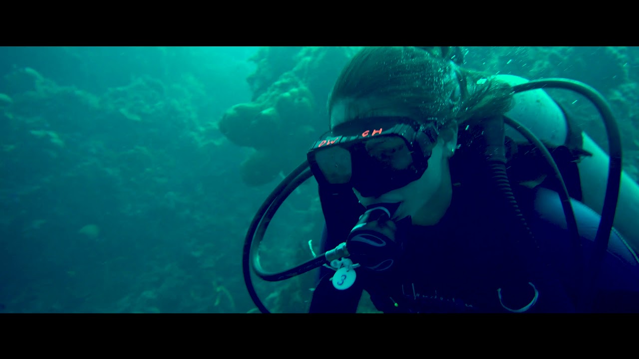 Scuba Diving in Cozumel, Mexico with Maple Leaf Scuba