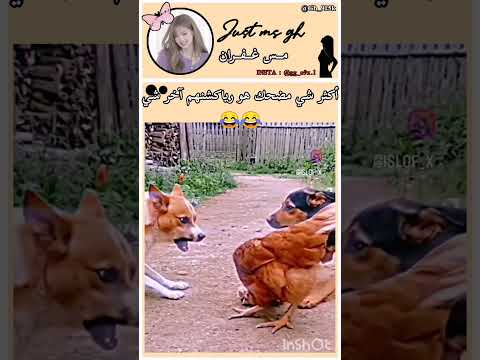 اشترك نوصل 30k🌷#مس_غفران#like#follow#edit#love#explore#youtube#blackpink#army#kpop#bts#memes#funny#