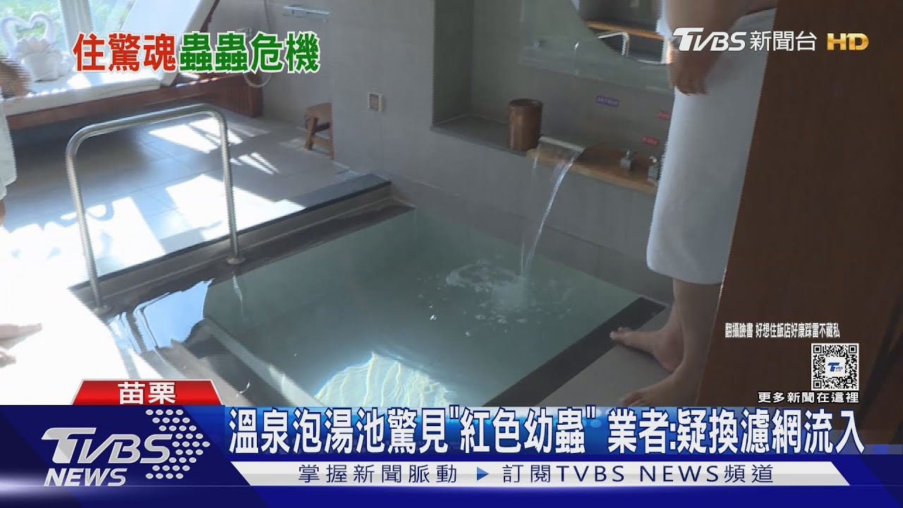 溫泉泡湯池驚見「紅色幼蟲」!業者:疑換濾網流入